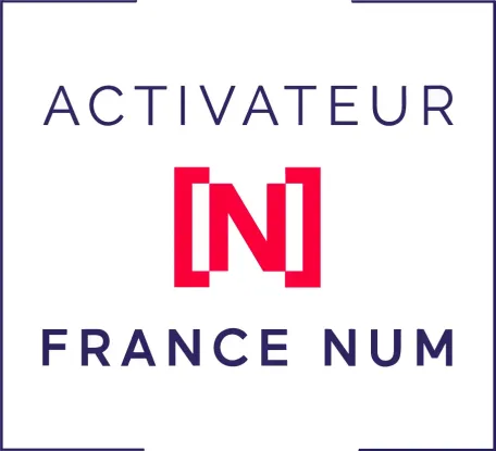 Jessy Martin Consulting, Activateur France Num